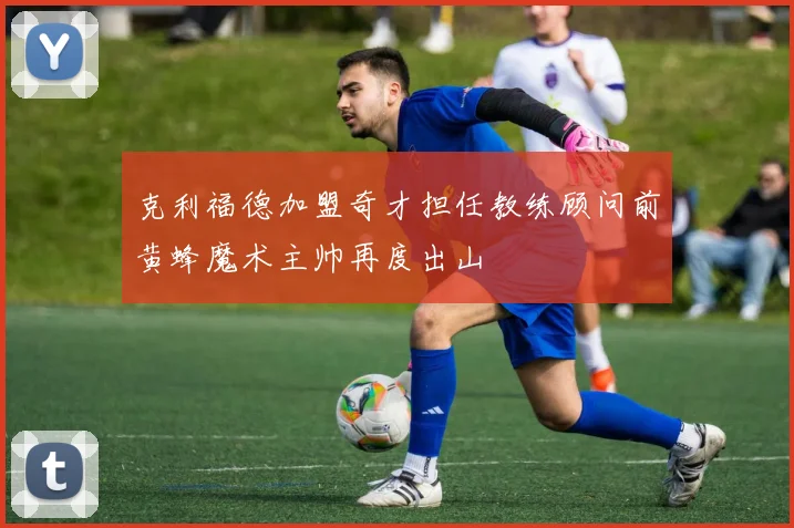 克利福德加盟奇才担任教练顾问前黄蜂魔术主帅再度出山