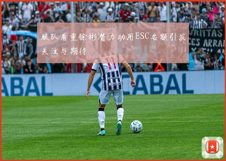 狼队看重徐彬潜力动用ESC名额引发关注与期待