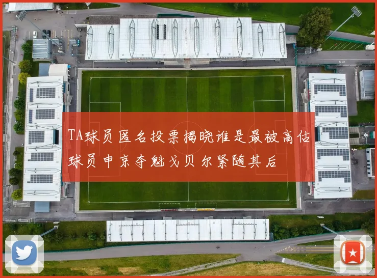 TA球员匿名投票揭晓谁是最被高估球员申京夺魁戈贝尔紧随其后